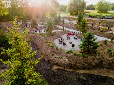 Tour Oxford: Blandford-Blenheim Route (& Visitor Guide)